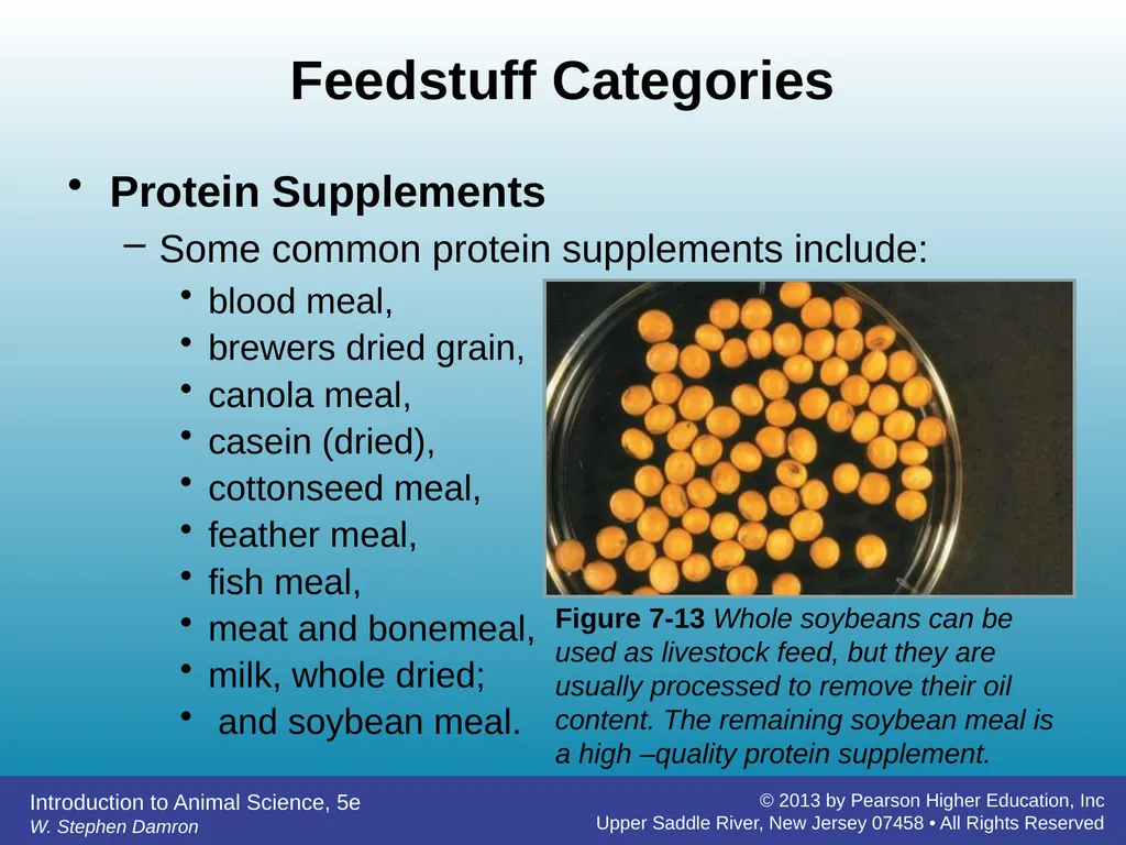 Feedstuffs Classification Chapter 7 W. Stephen - slide 28 of 35