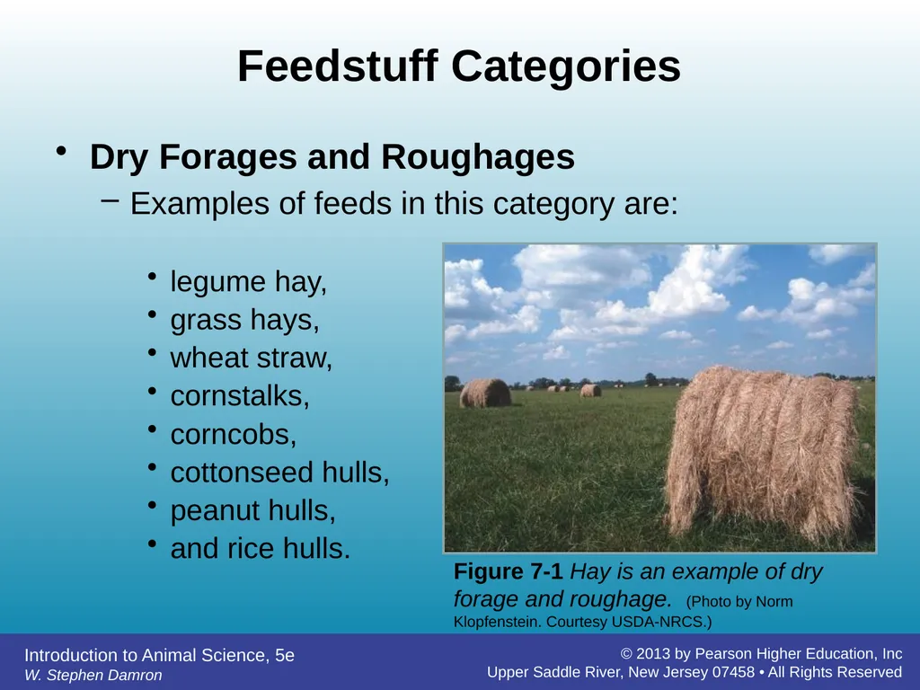 Feedstuffs Classification Chapter 7 W. Stephen - slide 6 of 35
