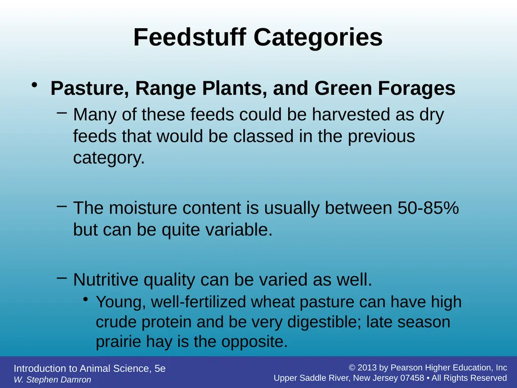Feedstuffs Classification Chapter 7 W. Stephen - slide 7 of 35