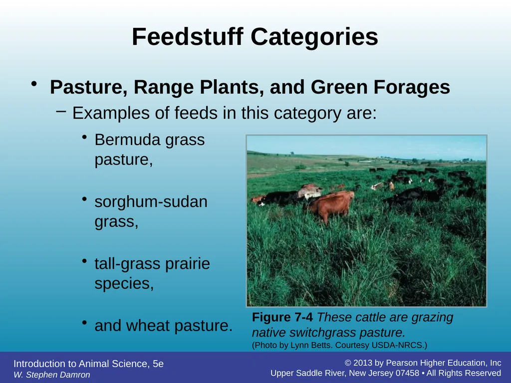 Feedstuffs Classification Chapter 7 W. Stephen - slide 8 of 35
