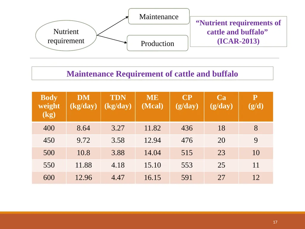 College of Veterinary Science & Animal Husbandry - slide 17 of 58