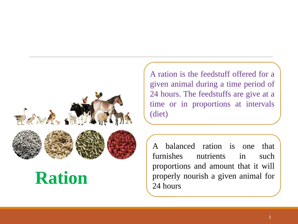College of Veterinary Science & Animal Husbandry - slide 2 of 58