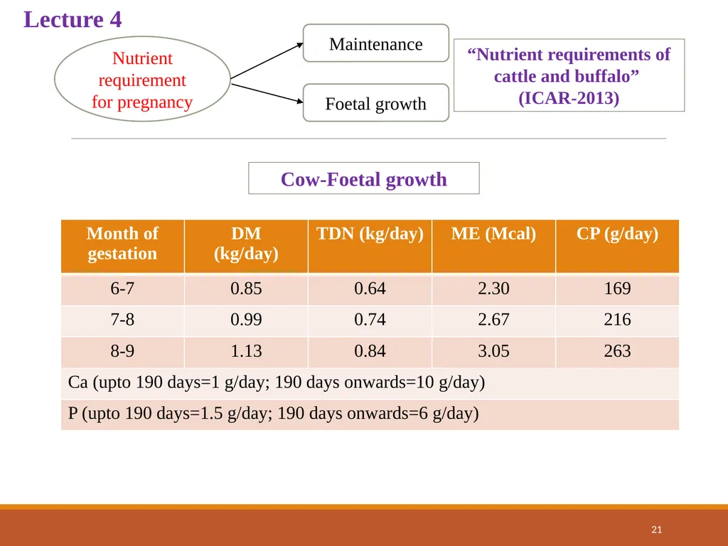 College of Veterinary Science & Animal Husbandry - slide 21 of 58