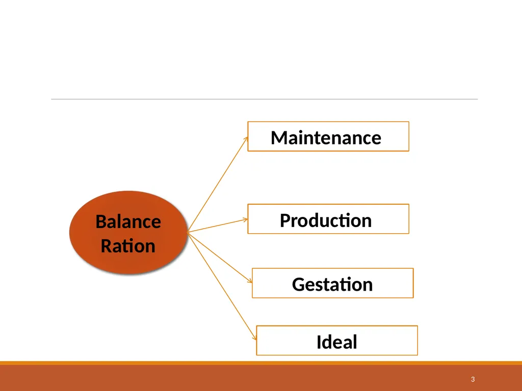 College of Veterinary Science & Animal Husbandry - slide 3 of 58