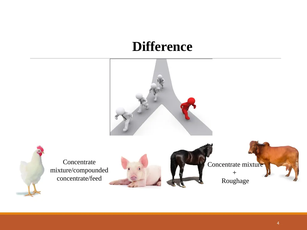 College of Veterinary Science & Animal Husbandry - slide 4 of 58