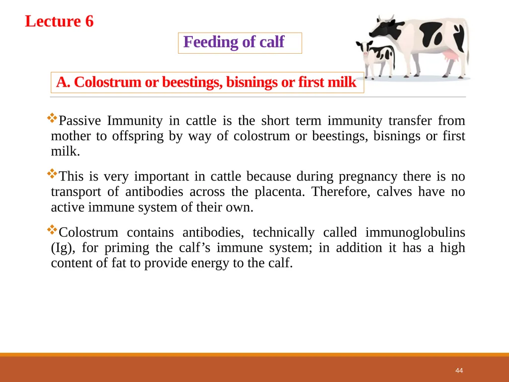 College of Veterinary Science & Animal Husbandry - slide 44 of 58