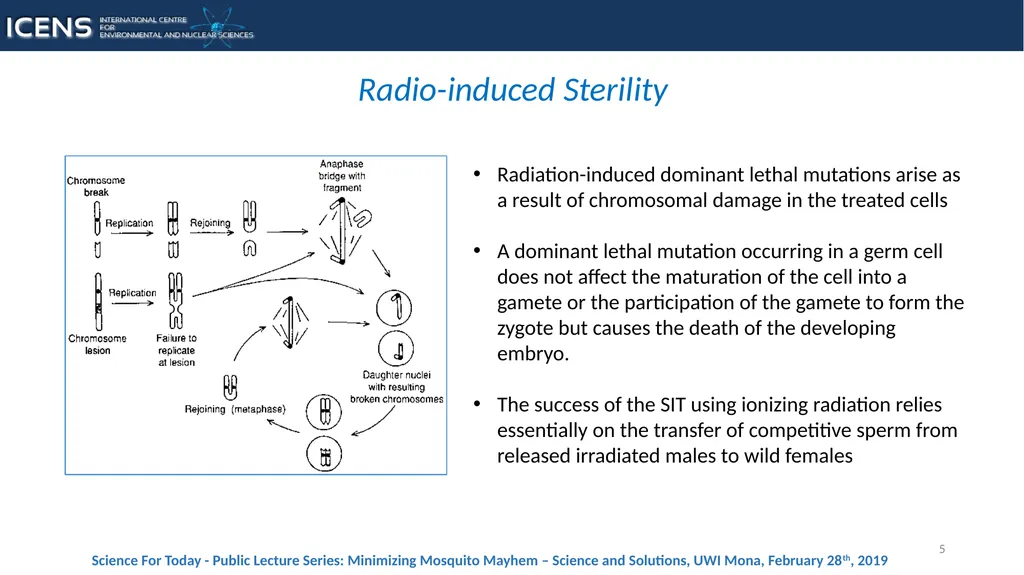 1 The Sterile Insect Technique as a tool for - slide 5 of 13
