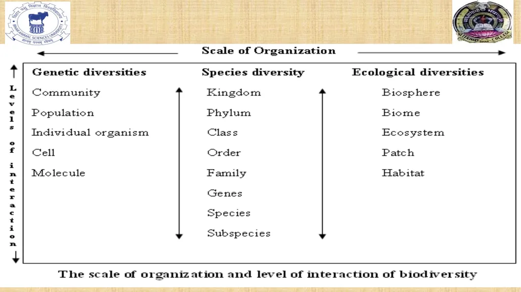Bio-diversity uses, threats and conservation Dr. - slide 7 of 23