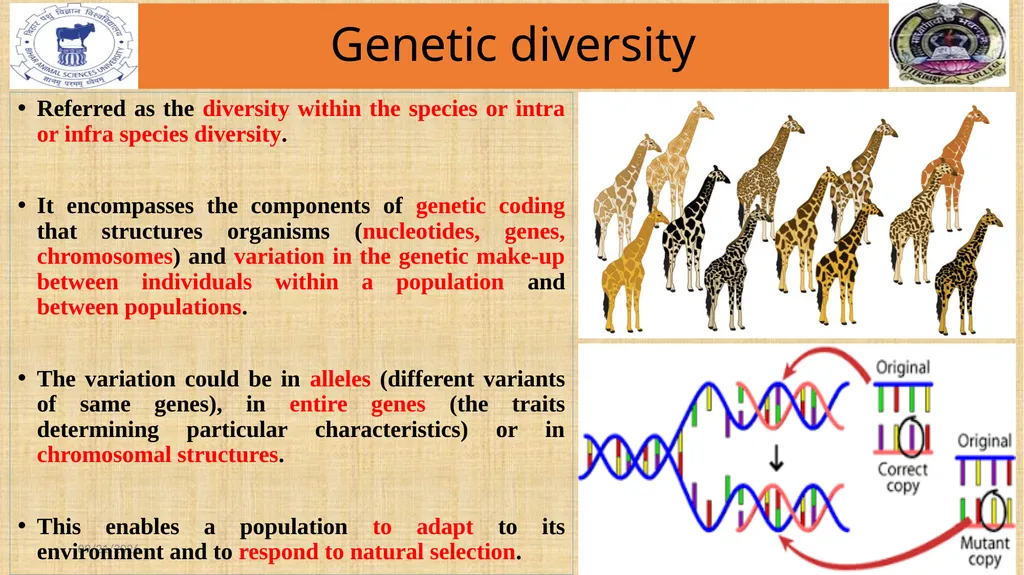 Bio-diversity uses, threats and conservation Dr. - slide 8 of 23