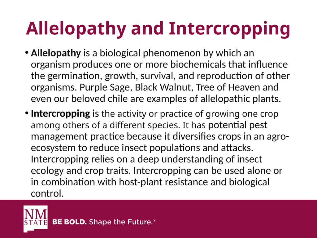 ITEGRATED PEST MANGAGEMENT SIMPLIFIED Presented by - slide 18 of 25