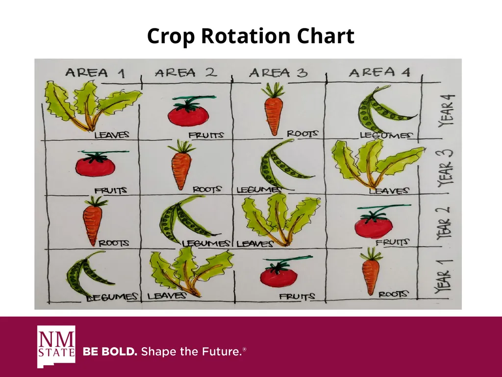 ITEGRATED PEST MANGAGEMENT SIMPLIFIED Presented by - slide 14 of 25