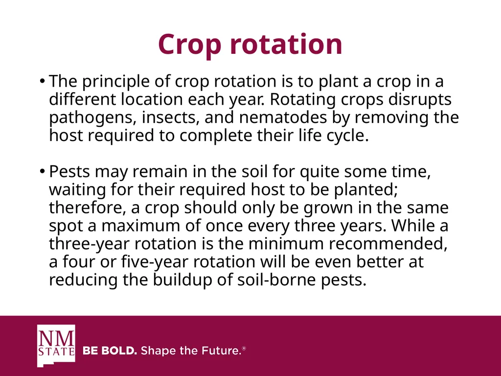 ITEGRATED PEST MANGAGEMENT SIMPLIFIED Presented by - slide 13 of 25