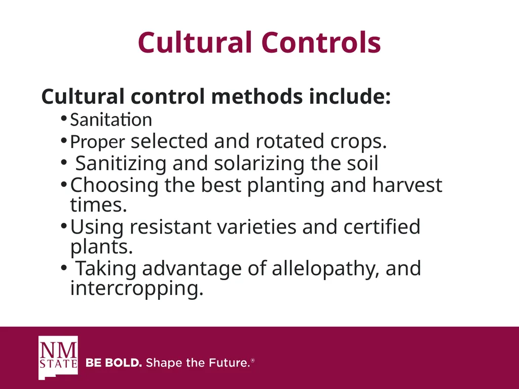 ITEGRATED PEST MANGAGEMENT SIMPLIFIED Presented by - slide 11 of 25