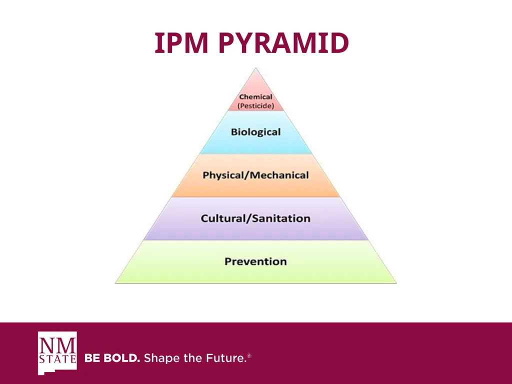 ITEGRATED PEST MANGAGEMENT SIMPLIFIED Presented by - slide 10 of 25