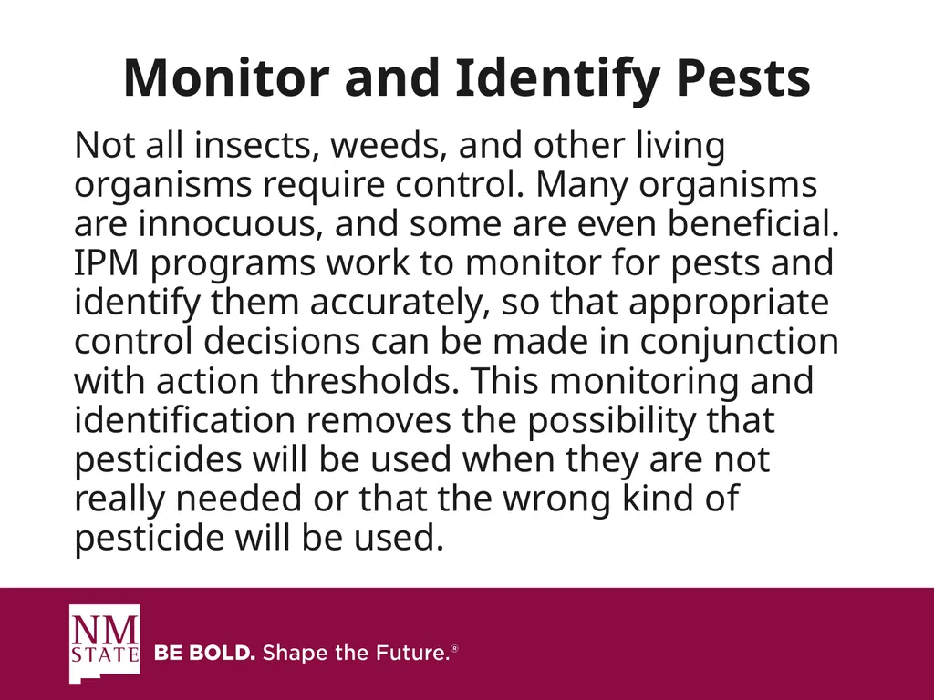 ITEGRATED PEST MANGAGEMENT SIMPLIFIED Presented by - slide 6 of 25