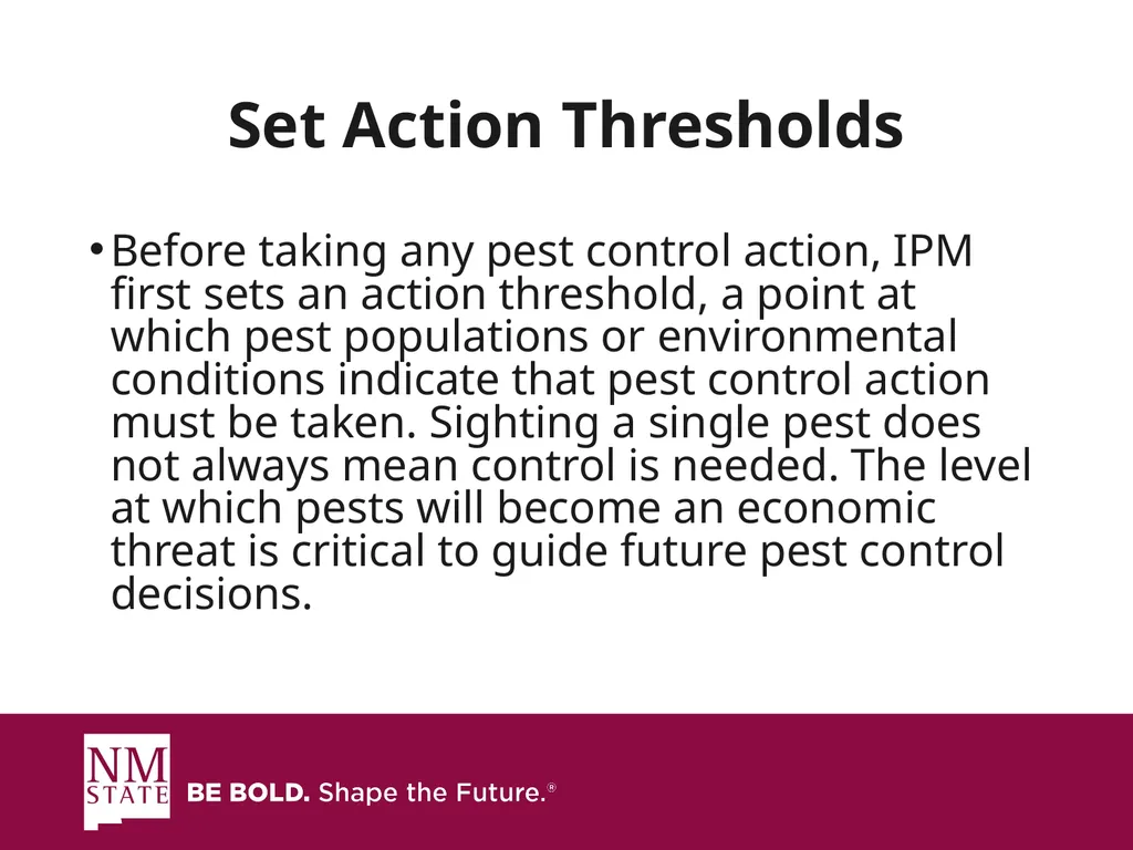 ITEGRATED PEST MANGAGEMENT SIMPLIFIED Presented by - slide 5 of 25