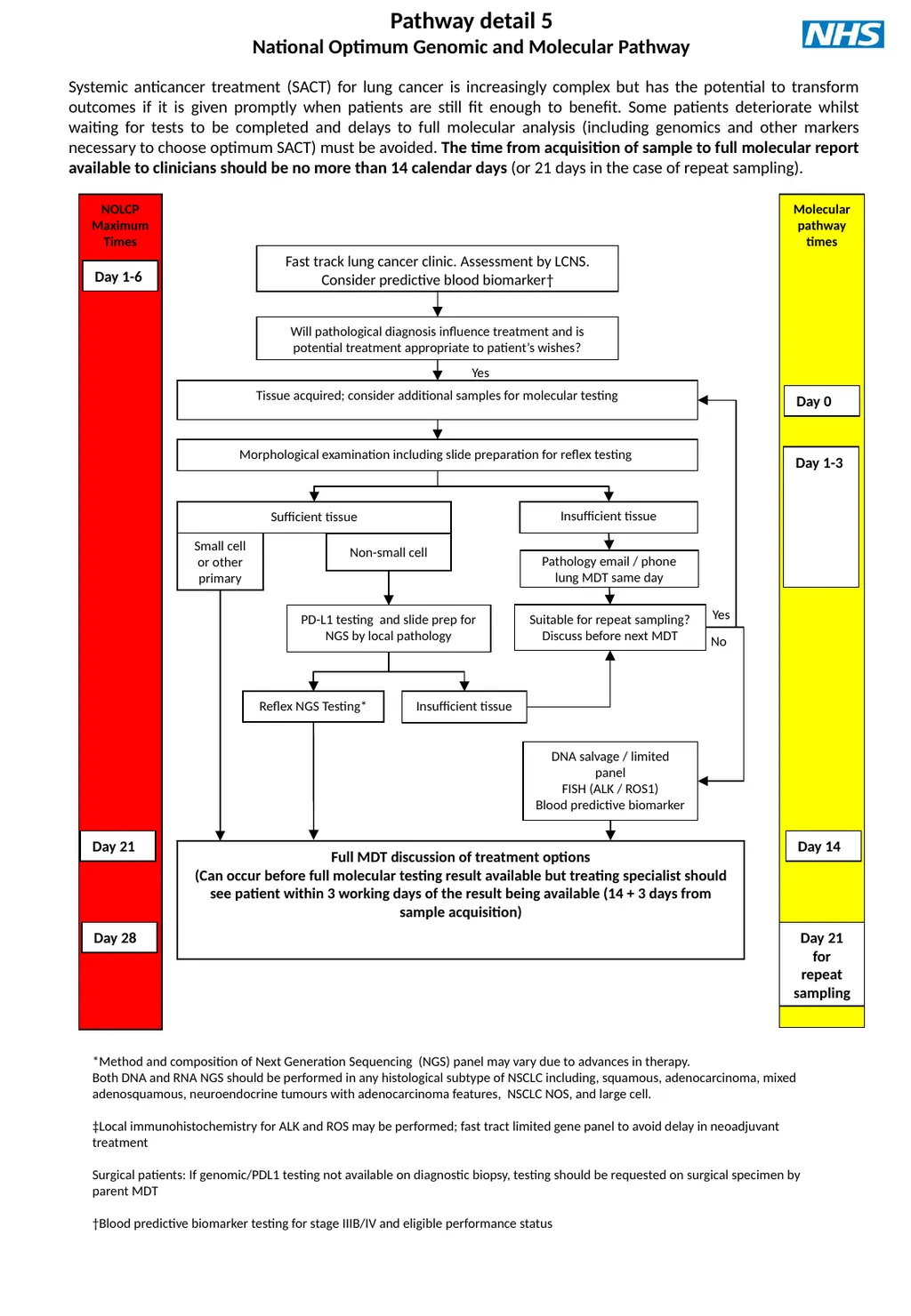 Introduction This optimal pathway is primarily - slide 7 of 15