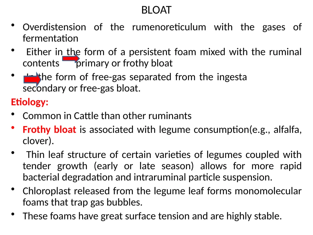 BLOAT Dr. Anil Kumar 4th Professional (VCP-II) - slide 2 of 8