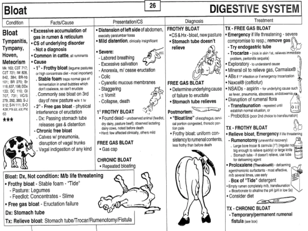 BLOAT Dr. Anil Kumar 4th Professional (VCP-II) - slide 8 of 8