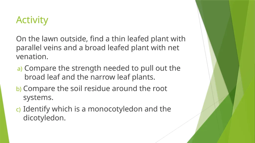 The Role of Plant Biology in Agribusiness. Level 2 - slide 13 of 83
