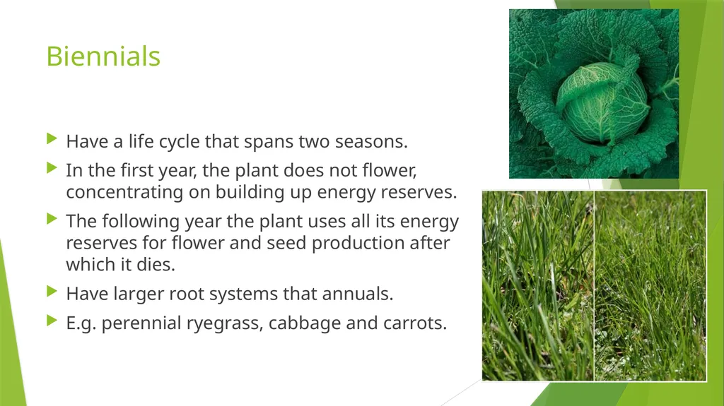 The Role of Plant Biology in Agribusiness. Level 2 - slide 38 of 83