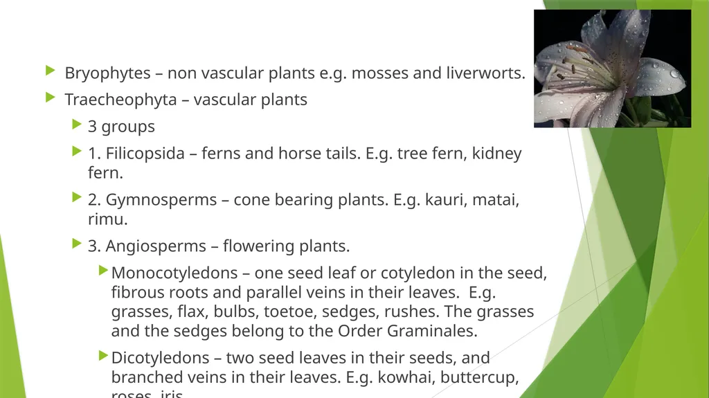 The Role of Plant Biology in Agribusiness. Level 2 - slide 8 of 83