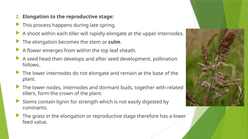 The Role of Plant Biology in Agribusiness. Level 2 - slide 79 of 83