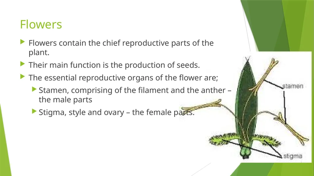 The Role of Plant Biology in Agribusiness. Level 2 - slide 72 of 83