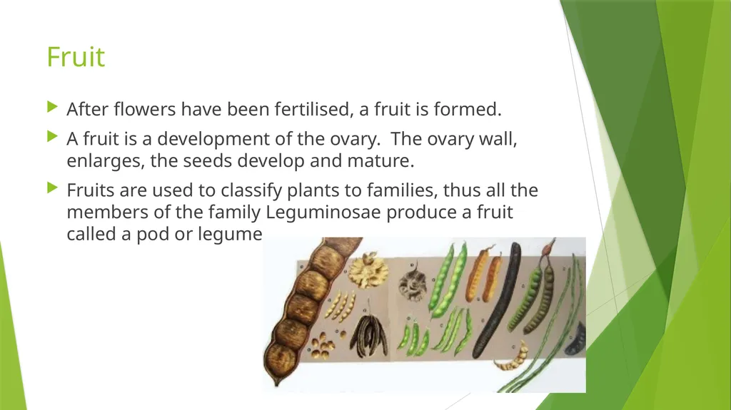 The Role of Plant Biology in Agribusiness. Level 2 - slide 76 of 83
