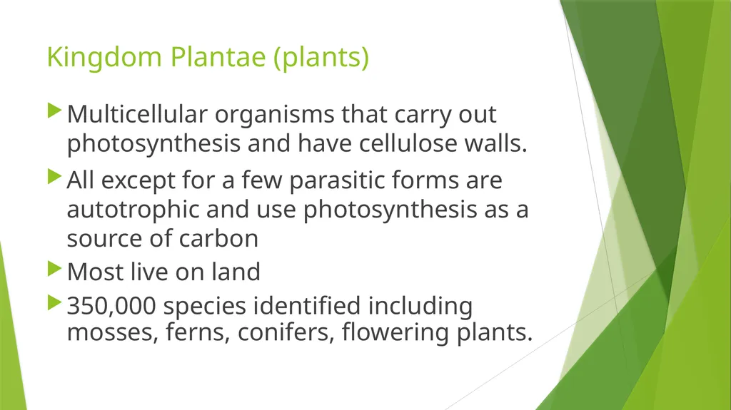 The Role of Plant Biology in Agribusiness. Level 2 - slide 6 of 83