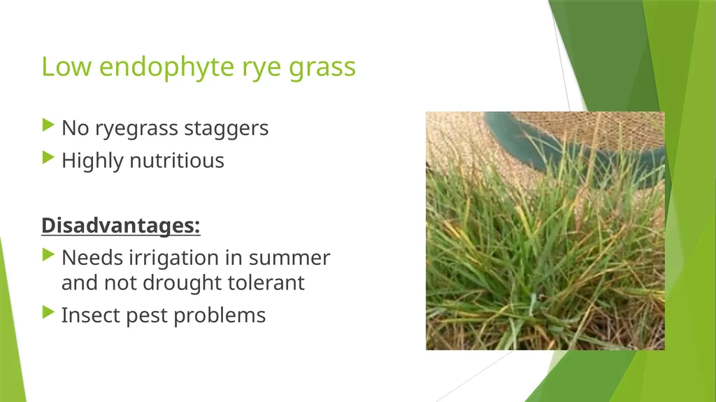 The Role of Plant Biology in Agribusiness. Level 2 - slide 55 of 83