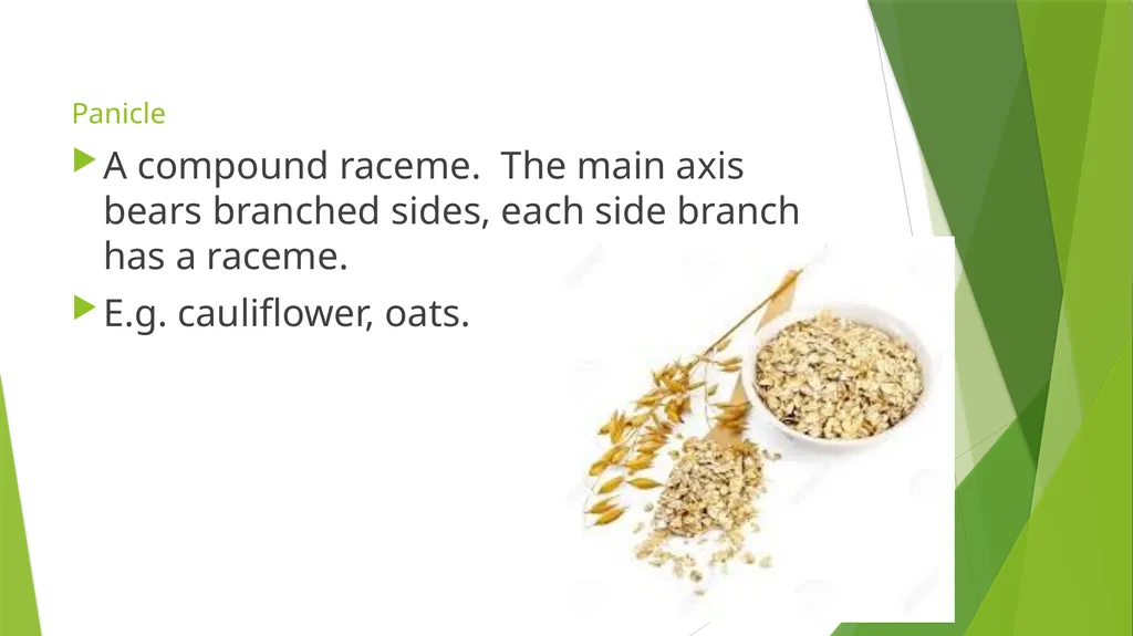 The Role of Plant Biology in Agribusiness. Level 2 - slide 74 of 83