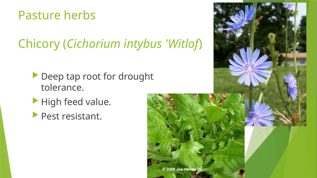The Role of Plant Biology in Agribusiness. Level 2 - slide 34 of 83