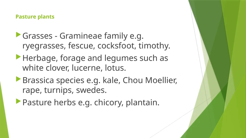 The Role of Plant Biology in Agribusiness. Level 2 - slide 23 of 83