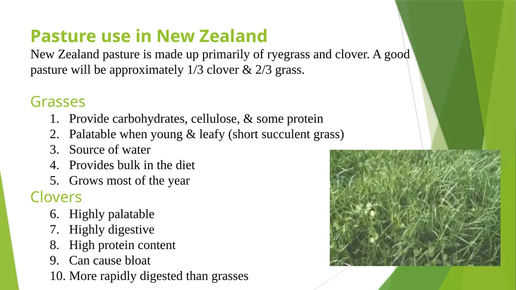 The Role of Plant Biology in Agribusiness. Level 2 - slide 35 of 83
