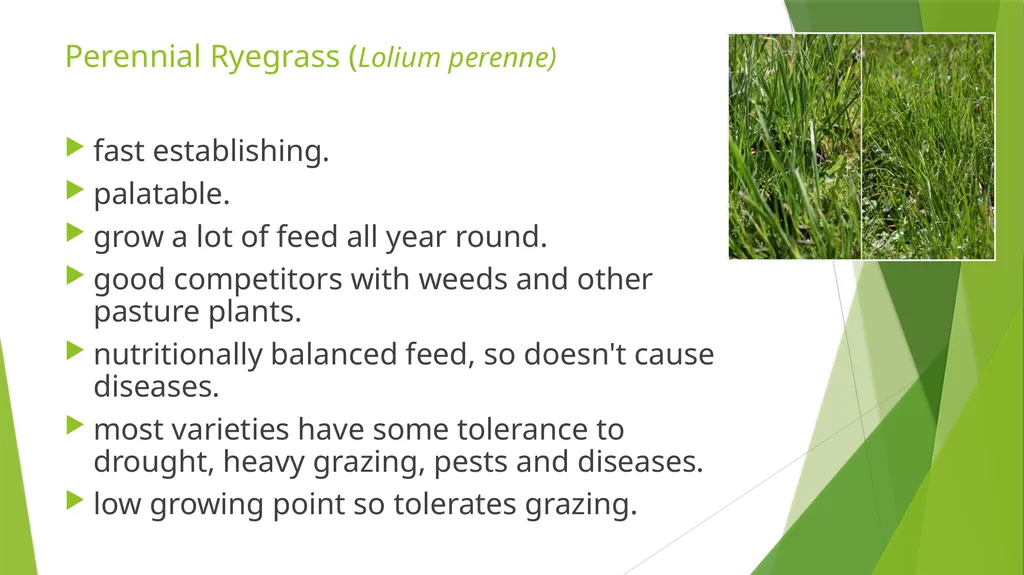 The Role of Plant Biology in Agribusiness. Level 2 - slide 26 of 83