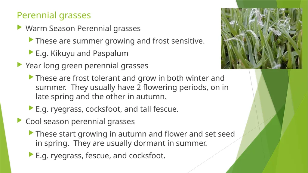 The Role of Plant Biology in Agribusiness. Level 2 - slide 41 of 83