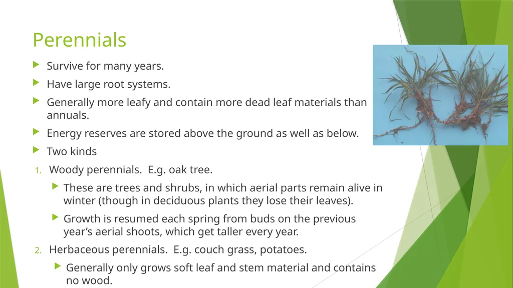 The Role of Plant Biology in Agribusiness. Level 2 - slide 39 of 83