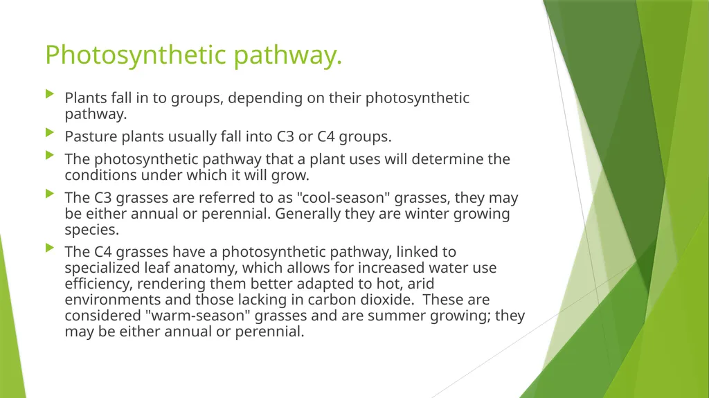 The Role of Plant Biology in Agribusiness. Level 2 - slide 43 of 83