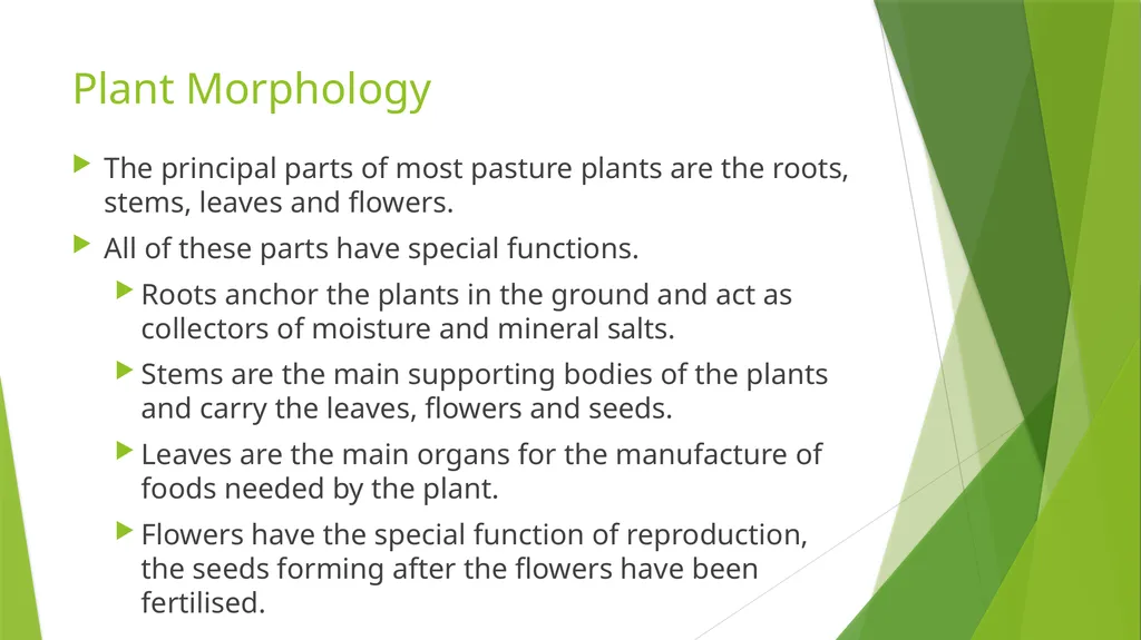 The Role of Plant Biology in Agribusiness. Level 2 - slide 57 of 83