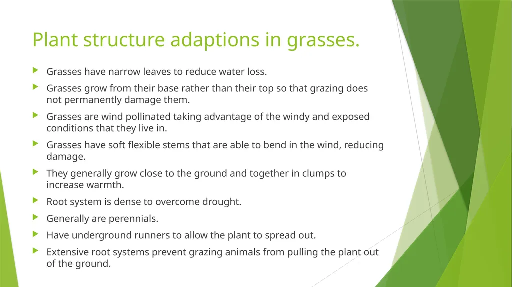 The Role of Plant Biology in Agribusiness. Level 2 - slide 77 of 83