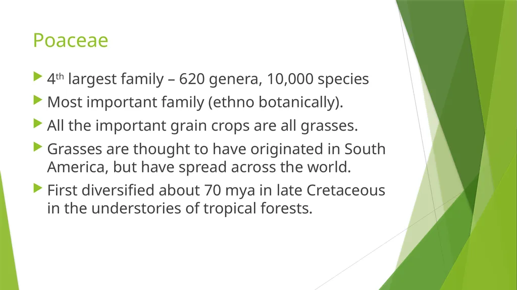 The Role of Plant Biology in Agribusiness. Level 2 - slide 24 of 83