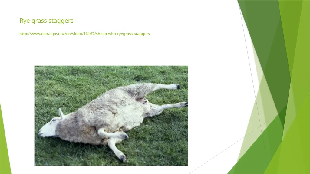 The Role of Plant Biology in Agribusiness. Level 2 - slide 53 of 83