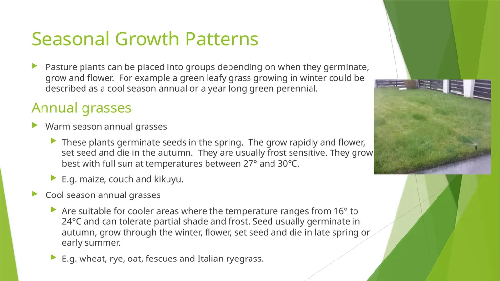 The Role of Plant Biology in Agribusiness. Level 2 - slide 40 of 83
