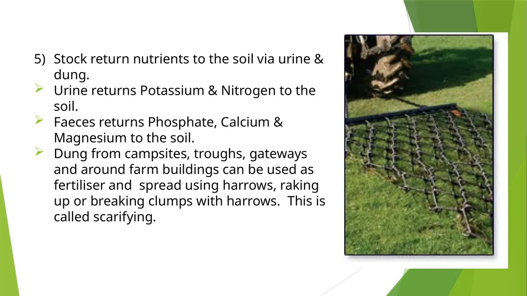The Role of Plant Biology in Agribusiness. Level 2 - slide 21 of 83