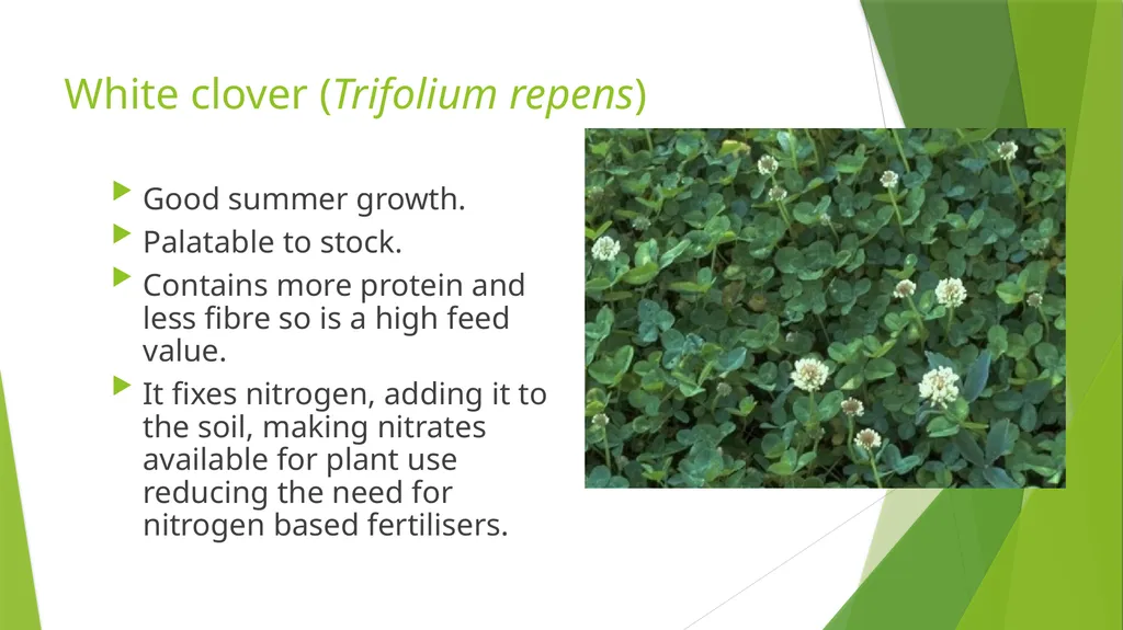 The Role of Plant Biology in Agribusiness. Level 2 - slide 30 of 83