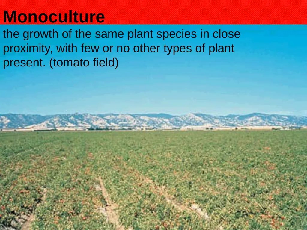 Aims: Learn about hedgerows and monocultures from - slide 3 of 14