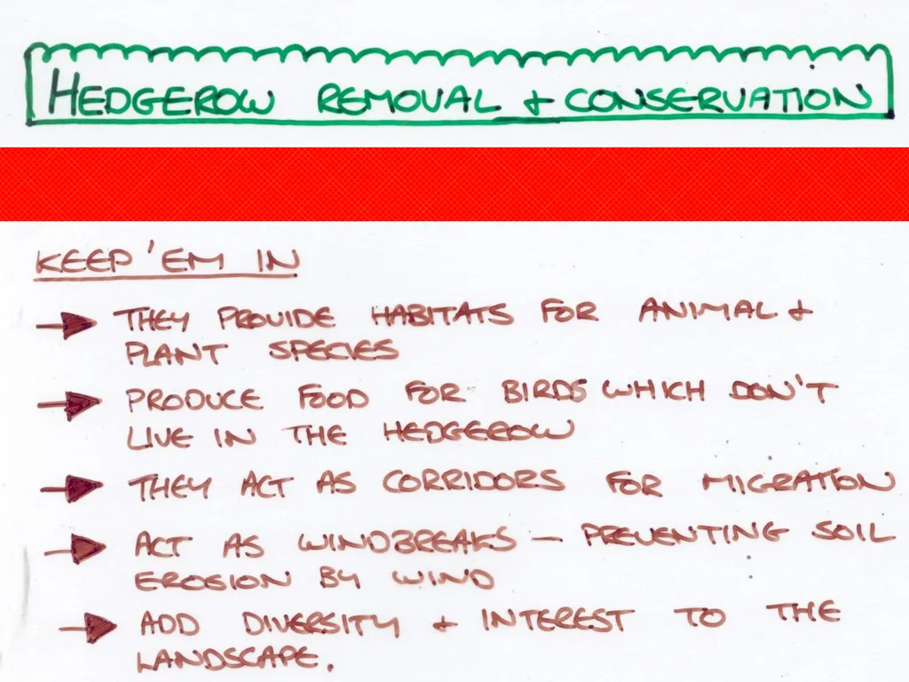 Aims: Learn about hedgerows and monocultures from - slide 10 of 14