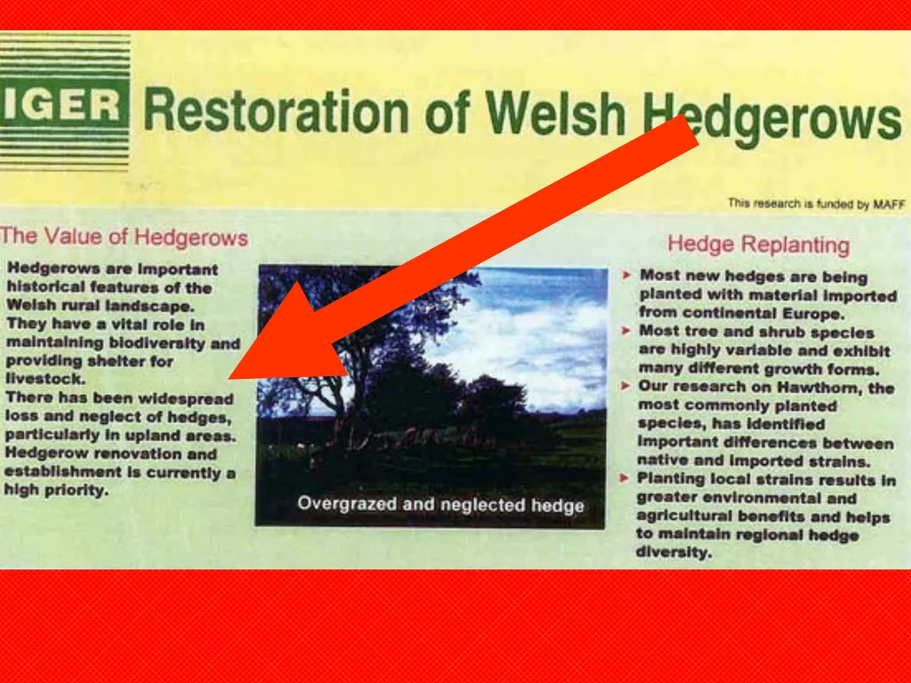 Aims: Learn about hedgerows and monocultures from - slide 11 of 14
