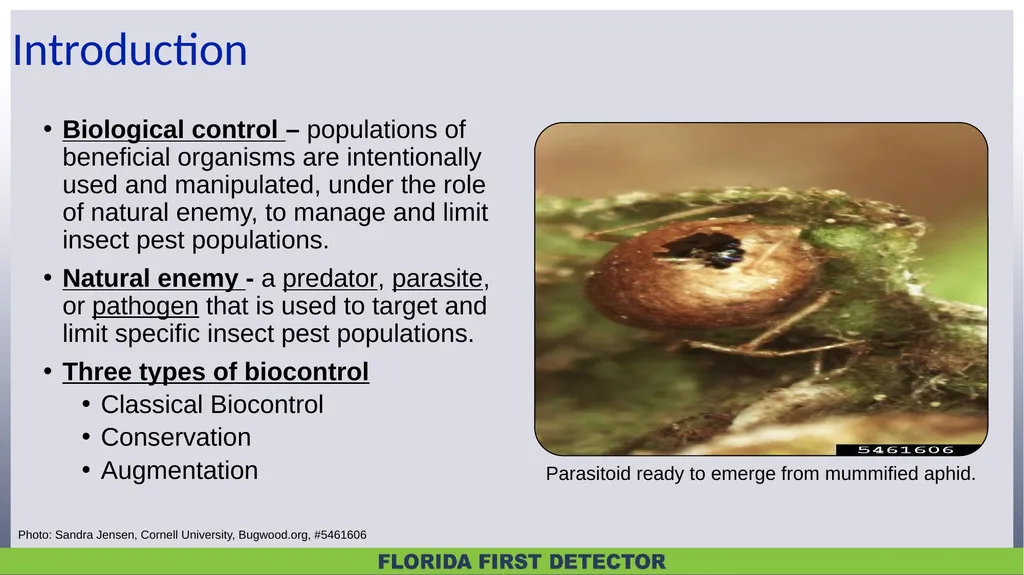 Biological Controls Biological control – - slide 2 of 21